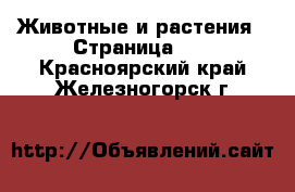  Животные и растения - Страница 20 . Красноярский край,Железногорск г.